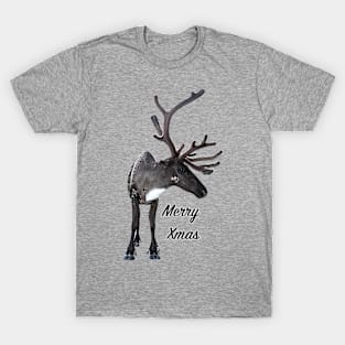 Santa Claus Reindeer T-Shirt